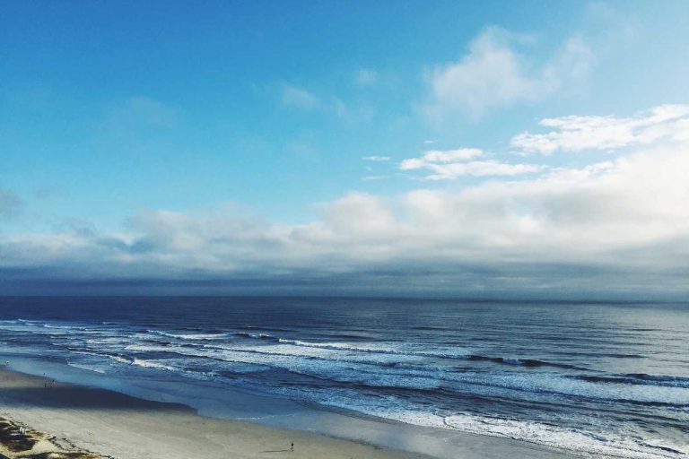 Ratione necessitatibus iste totam eum quod sequi